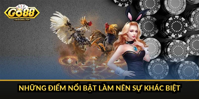 Những Điểm Nổi Bật Làm Nên Sự Khác Biệt